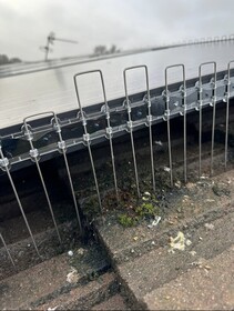 Bird proofing for solar panels and buildings. image